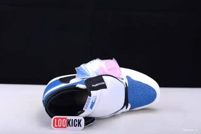 Rep TB and Travis Air 1 Blue White DH3227-105 Jordan Scott 0527